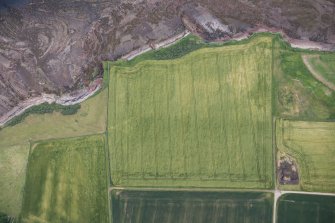 Oblique aerial view of the cropmarks of the enclosure and the site of Seacliff Tower, looking ENE.