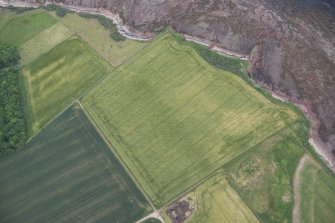 Oblique aerial view of the cropmarks of the enclosure and the site of Seacliff Tower, looking NE.