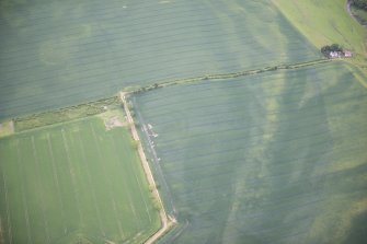 Oblique aerial view of the cropmarks of the settlement, looking WNW.