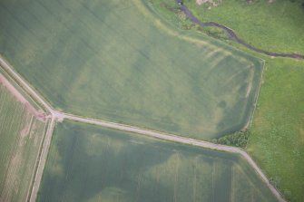 Oblique aerial view of the cropmarks of the unenclosed settlement and pit alignment, looking NNW.