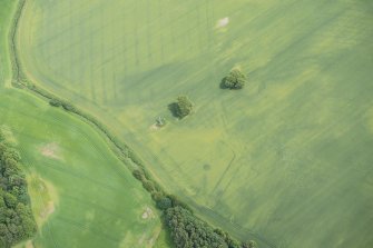 Oblique aerial view of the cropmarks of the possible enclosure and the round house, looking E.