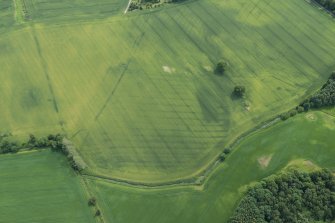 Oblique aerial view of the cropmarks of the field boundaries, rigand possible round house, looking SSW.