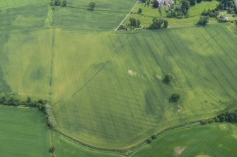 Oblique aerial view of the cropmarks of the field boundaries, rigand possible round house, looking S.