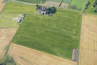 Oblique aerial view of the cropmarks of the field boundaries, looking SSE.