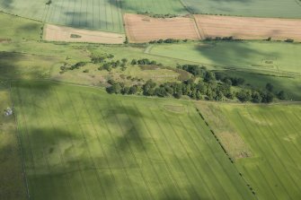 Oblique aerial view of the cropmarks of the enclosure and pit-defined boundary system with the remains of the fort beyond, looking N.