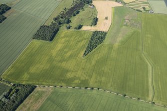 Oblique aerial view of the cropmarks of the ring ditch houses and the pit-defined boundary with The Chesters fort beyond, looking WSW.