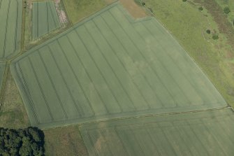 Oblique aerial view of the cropmarks of the settlement and pits, looking WSW.