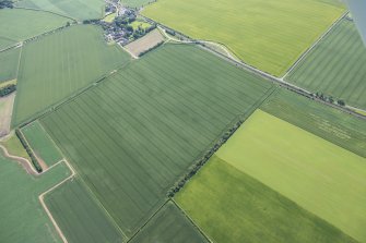 Oblique aerial view of the cropmark maculae, looking ESE.