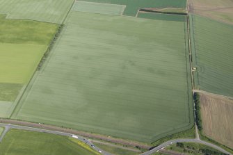 Oblique aerial view of the cropmark maculae, looking NNW.