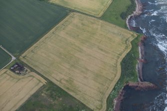 Oblique aerial view of the cropmarks of the enclosure and the site of Seacliff Tower, looking NW.