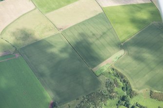 Oblique aerial view of the cropmarks of the possible ring ditches and the geological features, looking NNE.