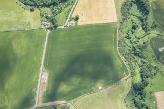 Oblique aerial view of the cropmarks of the rectilinear settlement, looking ESE.