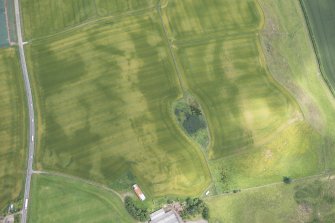 Oblique aerial view of the cropmarks of the barrow, looking ENE.