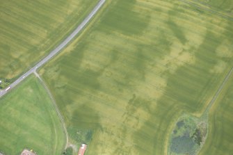 Oblique aerial view of the cropmarks of the barrow, looking NE.