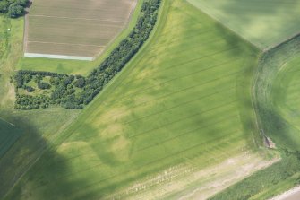 Oblique aerial view of the cropmarks of the round houses, looking WNW.