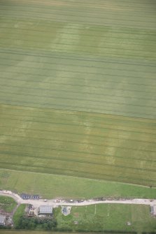 Oblique aerial view of the cropmarks of the pit defined boundary, looking ENE.