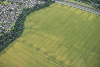 Oblique aerial view of the cropmarks of the enclosure, looking SE.