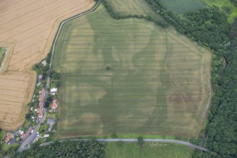 Oblique aerial view of the cropmarks of the field boundary, looking SSW.