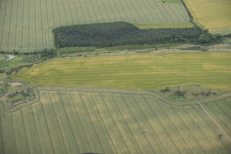 Oblique aerial view of the cropmarks of the fort, looking N.