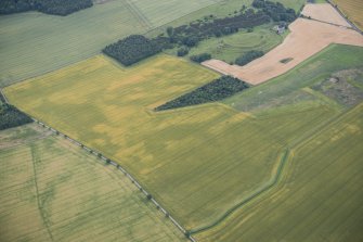 Oblique aerial view of the cropmarks of the ring ditch and the pit-defined boundary system with the fort beyond, looking SSW.
