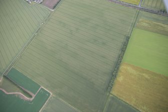 Oblique aerial view of the cropmarks of the enclosure and the  possible sunken-floored buildings, looking SSE.