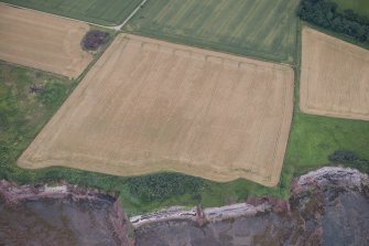 Oblique aerial view of the cropmarks of the enclosure and the site of Seacliff Tower, looking WSW.