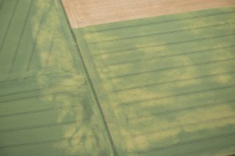 Oblique aerial view of the cropmarks of the ring ditch, looking S.