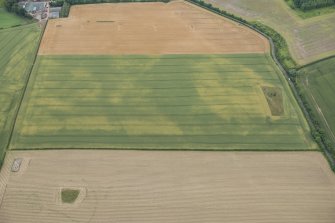 Oblique aerial view of the cropmarks of the ring ditch and the settlement enclosure, looking SSE.