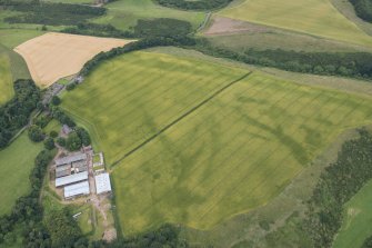 Oblique aerial view of the cropmarks of the pits, track and enclosure, looking NW.