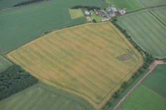 Oblique aerial view of the cropmarks of the settlement enclosure with West Flemington farmstead beyond, looking N.