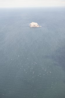 Oblique aerial view of the flotilla with the Bass Rock beyond, looking ENE.