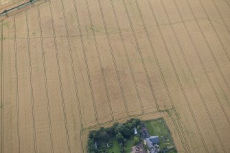 Oblique aerial view of the cropmarks of the round house, looking W.