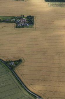 Oblique aerial view of the cropmarks of the round house and the pit defined boundaries, looking S.