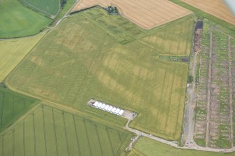 Oblique aerial view of the cropmarks of the rig and possible pits, looking E.