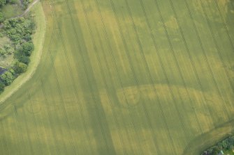 Oblique aerial view of the cropmarks of the souterrains, looking SE.