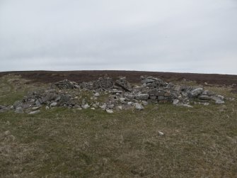 View of Cairn farmsteading, looking NE.