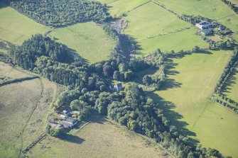 Oblique aerial view of Lickleyhead Castle, looking SSW.