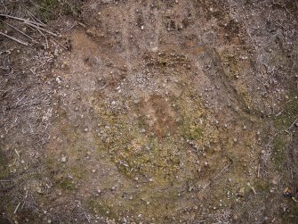 Pre-evaluation aerial photograph by Ed Martin, south east direction is up, Comar Wood Dun, Cannich, Strathglass