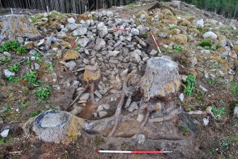Looking over Trench 2 after initial clean-back; facing outside of dun and showing the spread of small stones and tree stumps on the inside of the structure, Comar Wood Dun, Cannich, Strathglass