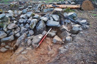 North west end of Trench 3 - large stones which were disturbed by tree roots may have formed an entrance cell in the enclosure wall, Comar Wood Dun, Cannich, Strathglass