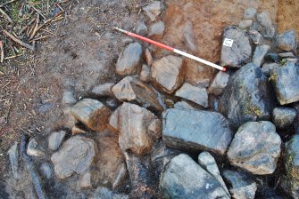 Compact and earthfast alignment of stones, interpreted as the base of an entrance cell wall, Comar Wood Dun, Cannich, Strathglass