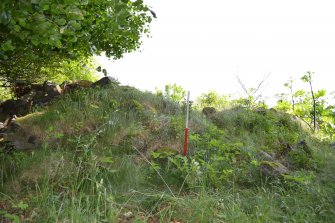 Stone house within fairly dense vegetation, Torvean Golf Course, Sports Hub, Kilvean Cemetery