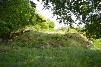 Stone house within fairly dense vegetation, Torvean Golf Course, Sports Hub, Kilvean Cemetery