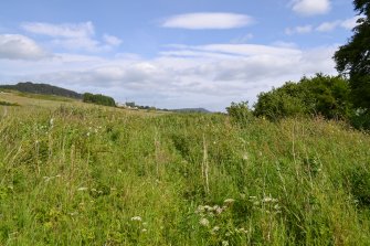 Dense vegetation covering the footings of a large rectangular building, Torvean Golf Course, Sports Hub, Kilvean Cemetery