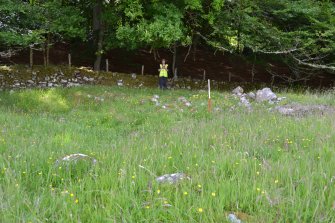 Large possible burial cairn on the north side of the wall, Torvean Golf Course, Sports Hub, Kilvean Cemetery