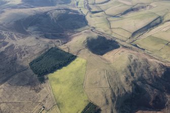 Oblique aerial view of the possible barrow and plantation bank with the fort beyond, looking SSW.