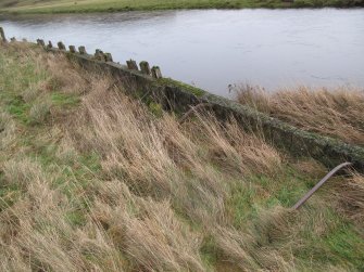 View of reinforcements along the bank of the River Clyde near Symington Mains