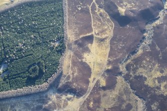 Oblique aerial view of Pitcarmick buildings, hut circles and a ring cairn at Lair, Glen Shee, looking ESE.