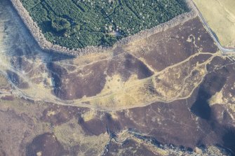 Oblique aerial view of Pitcarmick buildings, hut circles and a ring cairn at Lair, Glen Shee, looking NE.