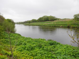 View of colourful sapling tubes across the Cuningar Loop